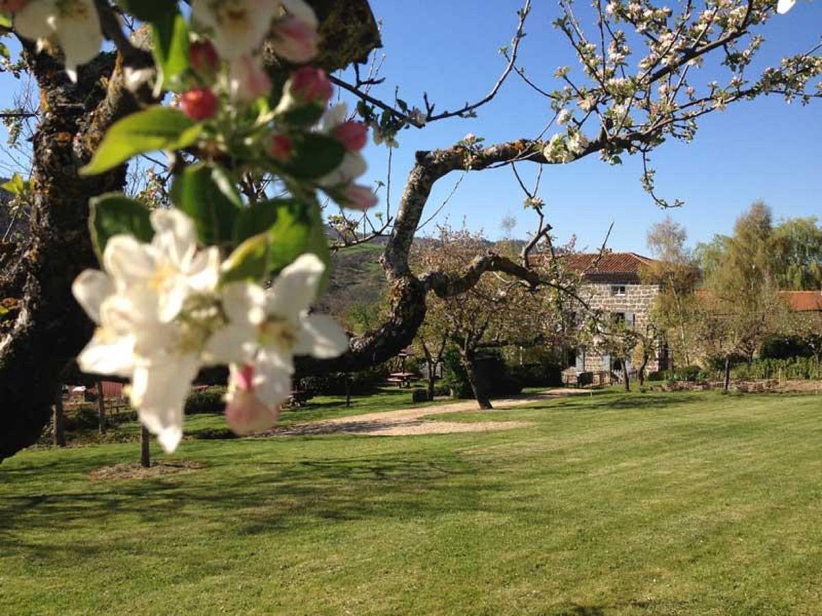 Les Jardins D'Anna - Chambres D'Hotes Tapon Zewnętrze zdjęcie